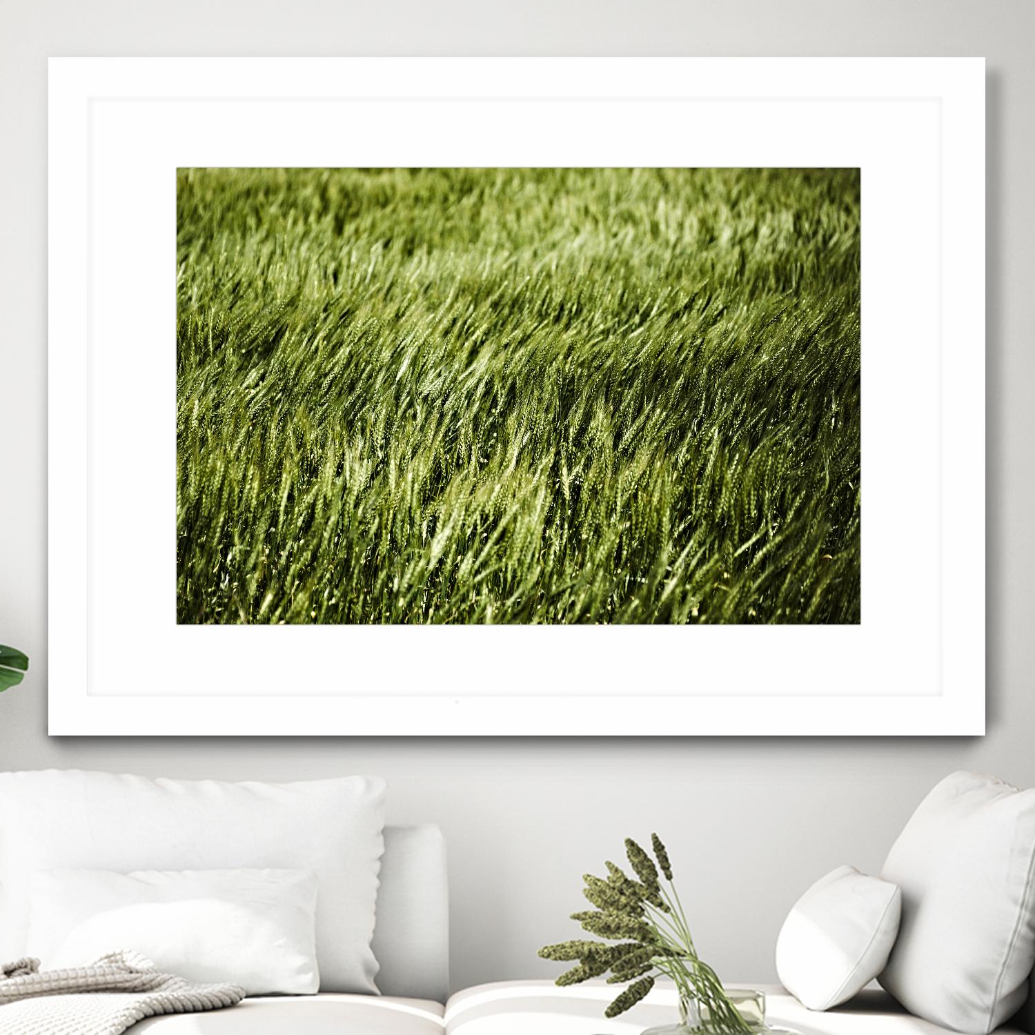 Grass II by Peter Morneau on GIANT ART - green photo art