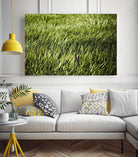 Grass II by Peter Morneau on GIANT ART - green photo art