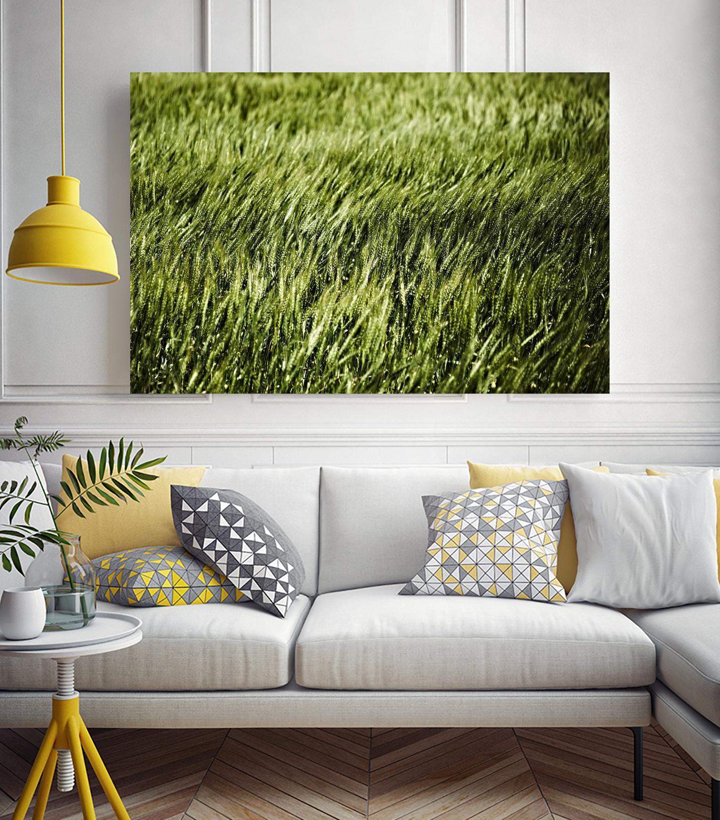 Grass II by Peter Morneau on GIANT ART - green photo art
