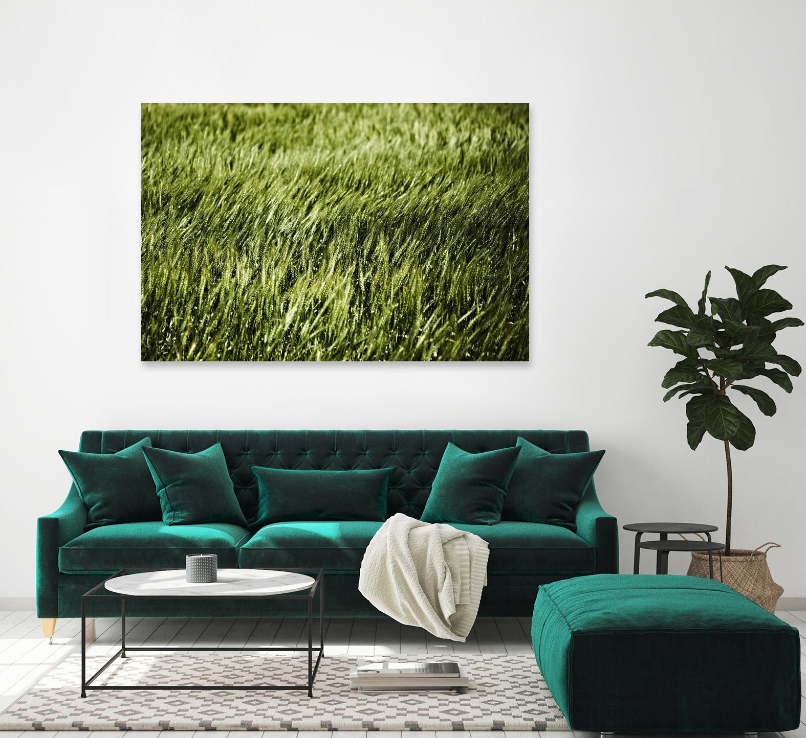 Grass II by Peter Morneau on GIANT ART - green photo art
