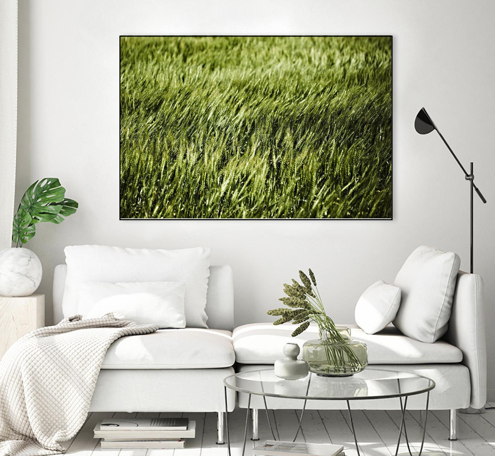 Grass II by Peter Morneau on GIANT ART - green photo art