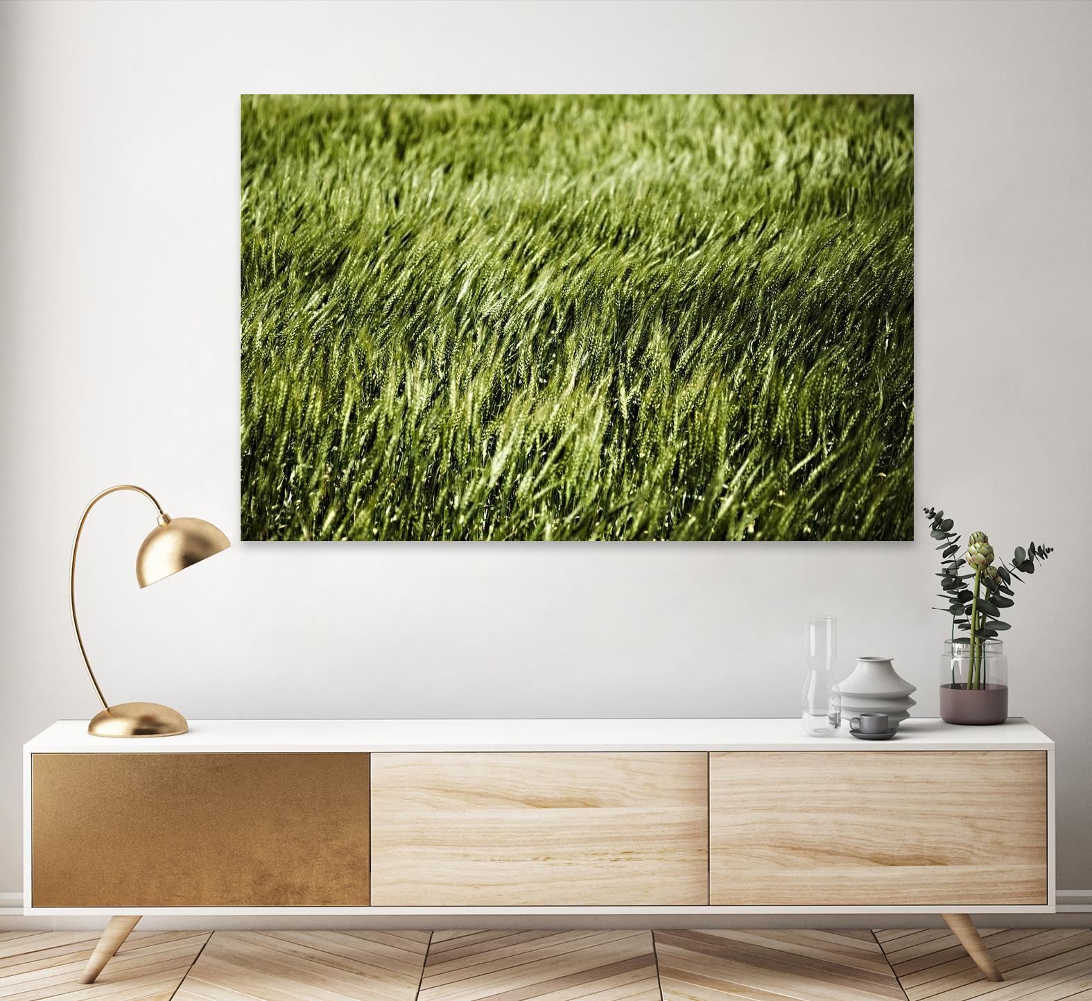 Grass II by Peter Morneau on GIANT ART - green photo art
