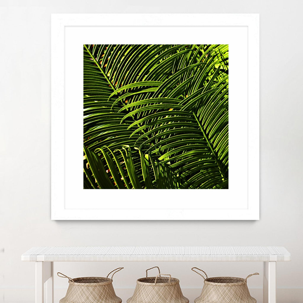 Leaves III by Peter Morneau on GIANT ART - green photo art