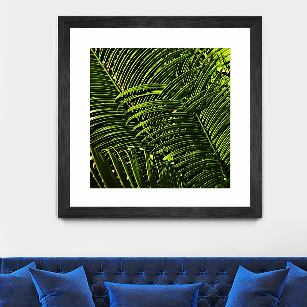 Leaves III by Peter Morneau on GIANT ART - green photo art