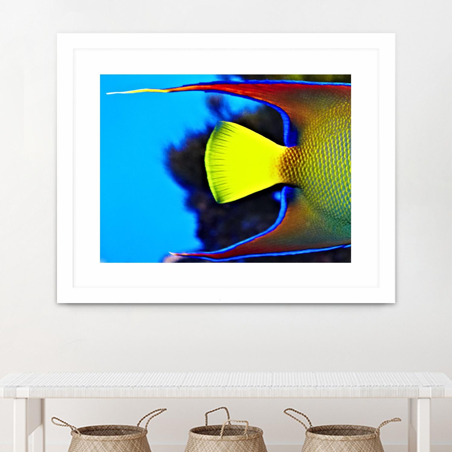 Yellow Fish by Peter Morneau on GIANT ART - yellow photo art