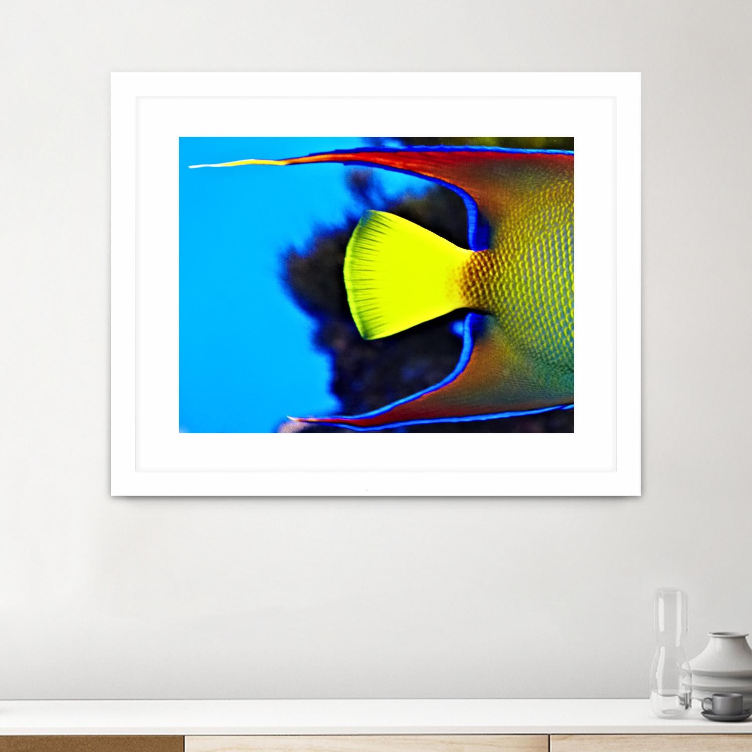 Yellow Fish by Peter Morneau on GIANT ART - yellow photo art