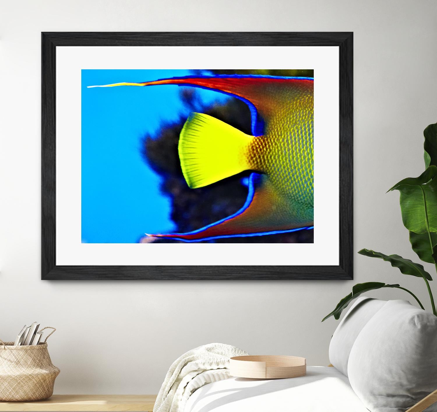 Yellow Fish by Peter Morneau on GIANT ART - yellow photo art