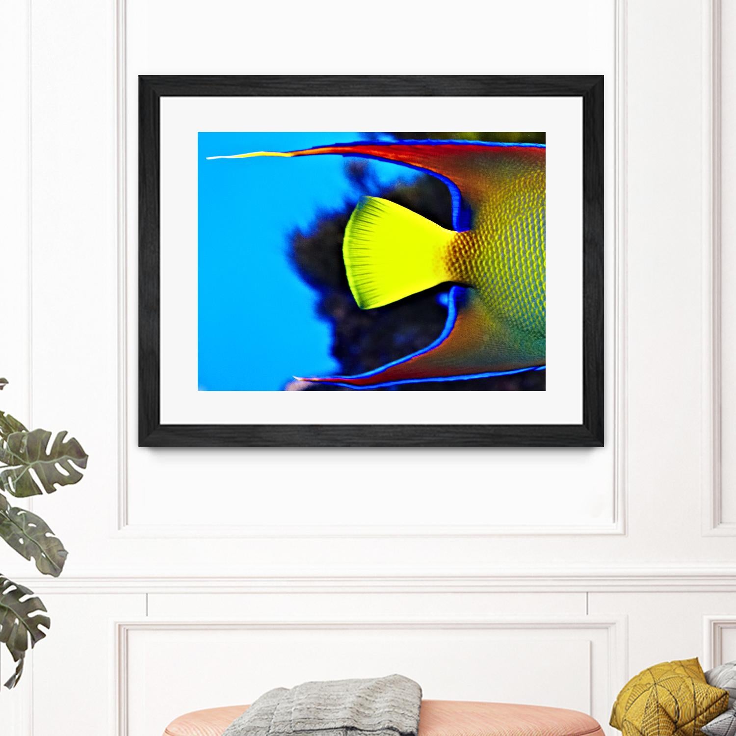 Yellow Fish by Peter Morneau on GIANT ART - yellow photo art