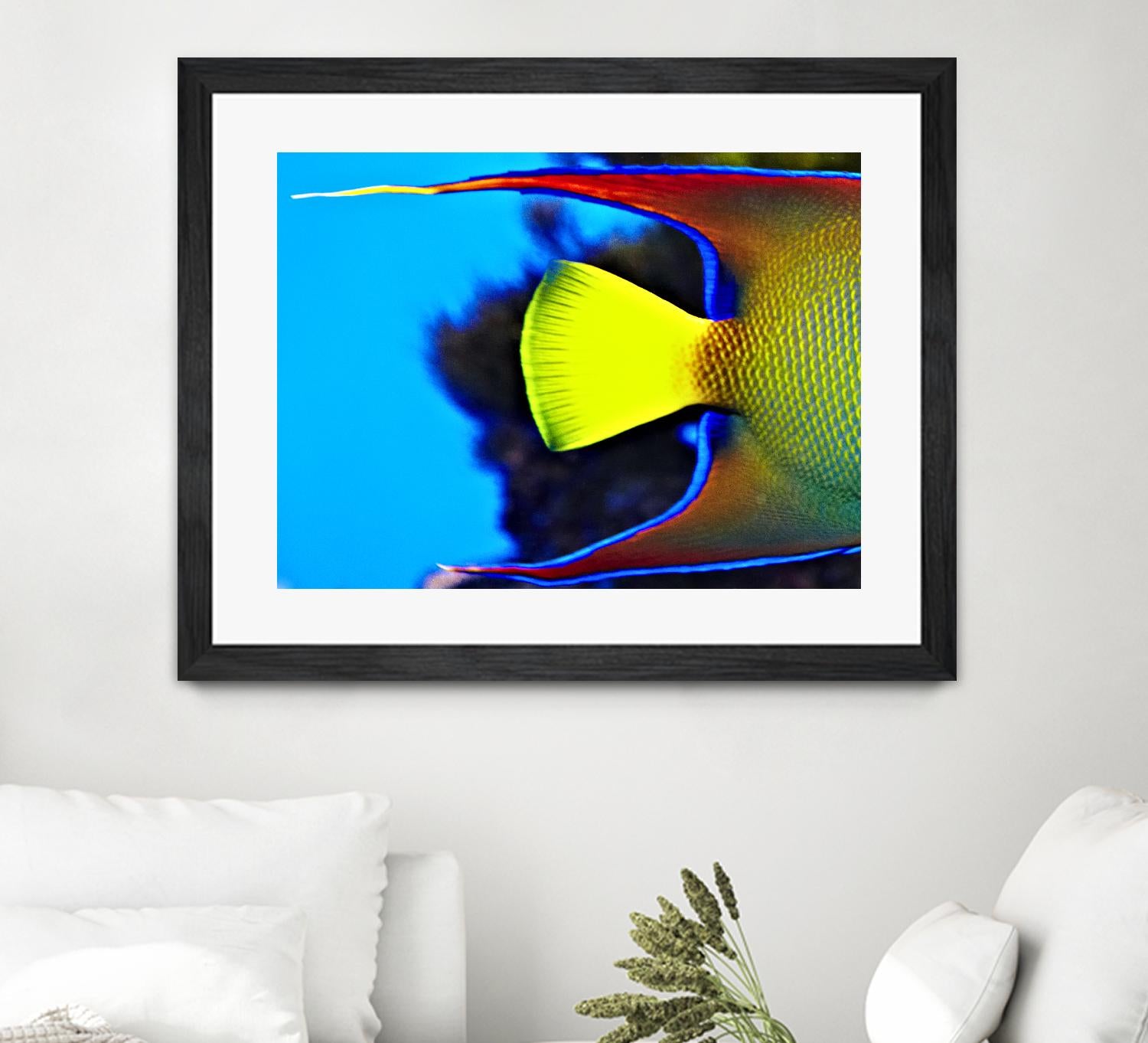 Yellow Fish by Peter Morneau on GIANT ART - yellow photo art