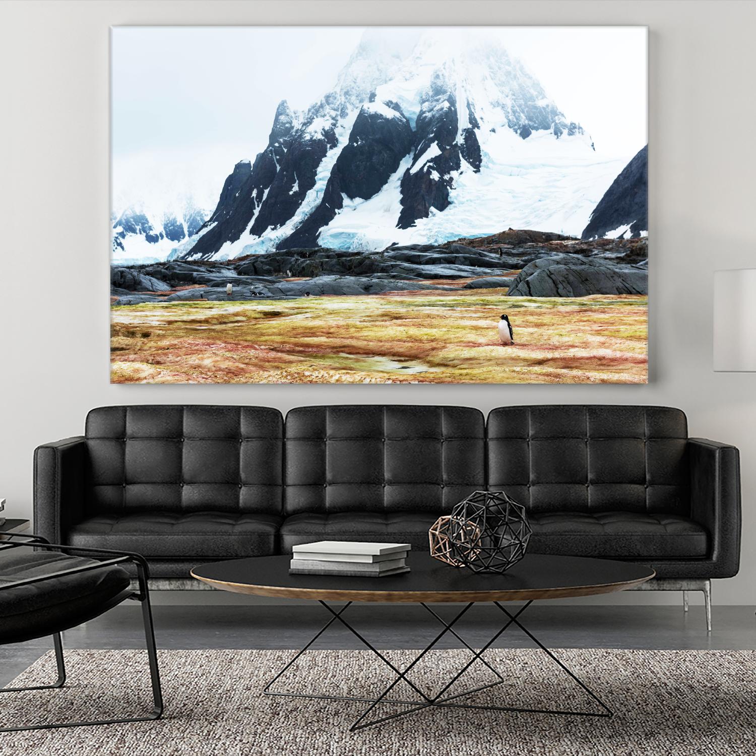 Crossing the green algae field, Antarctica by Nick Jackson on GIANT ART - white photo art