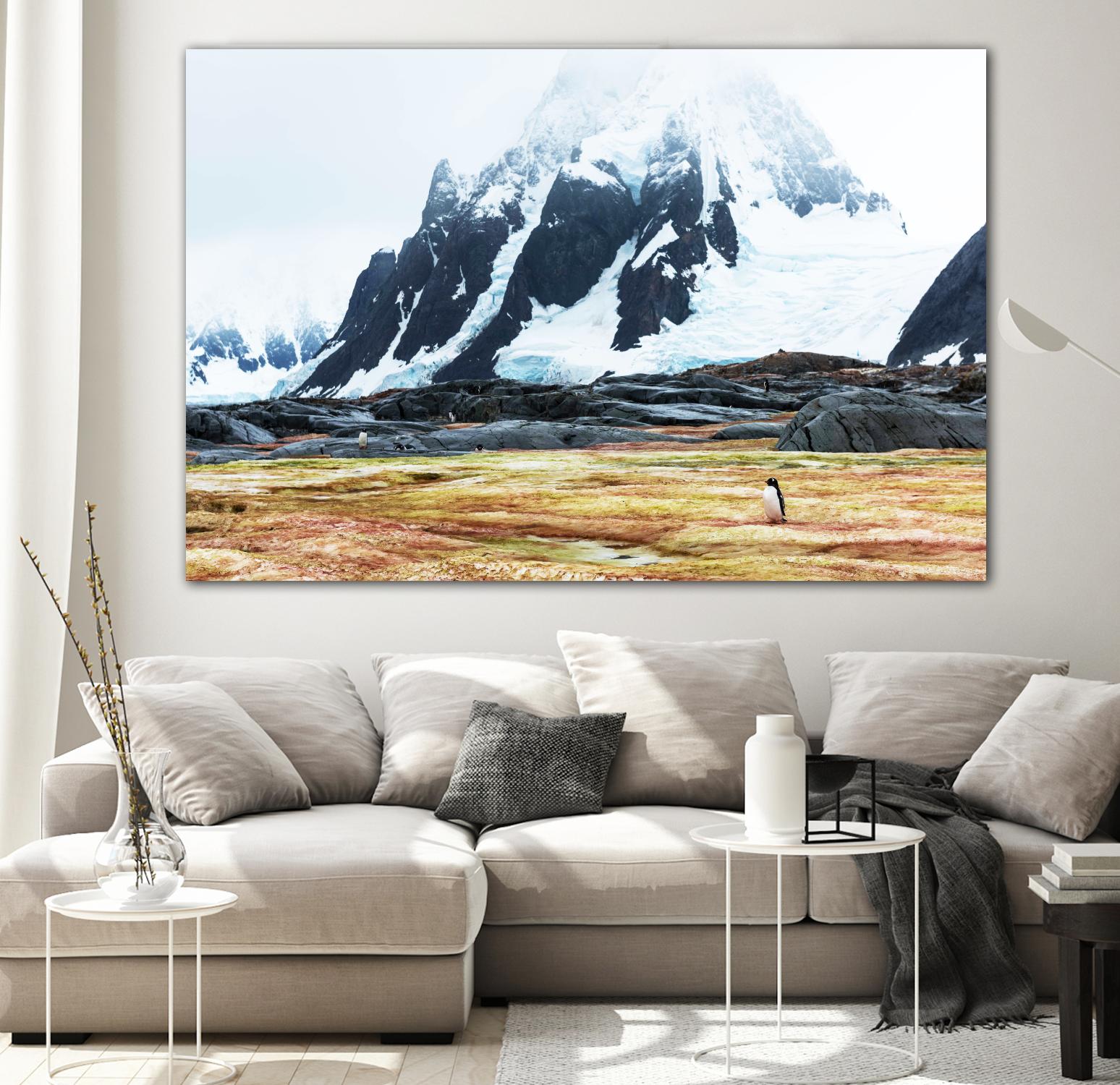 Crossing the green algae field, Antarctica by Nick Jackson on GIANT ART - white photo art