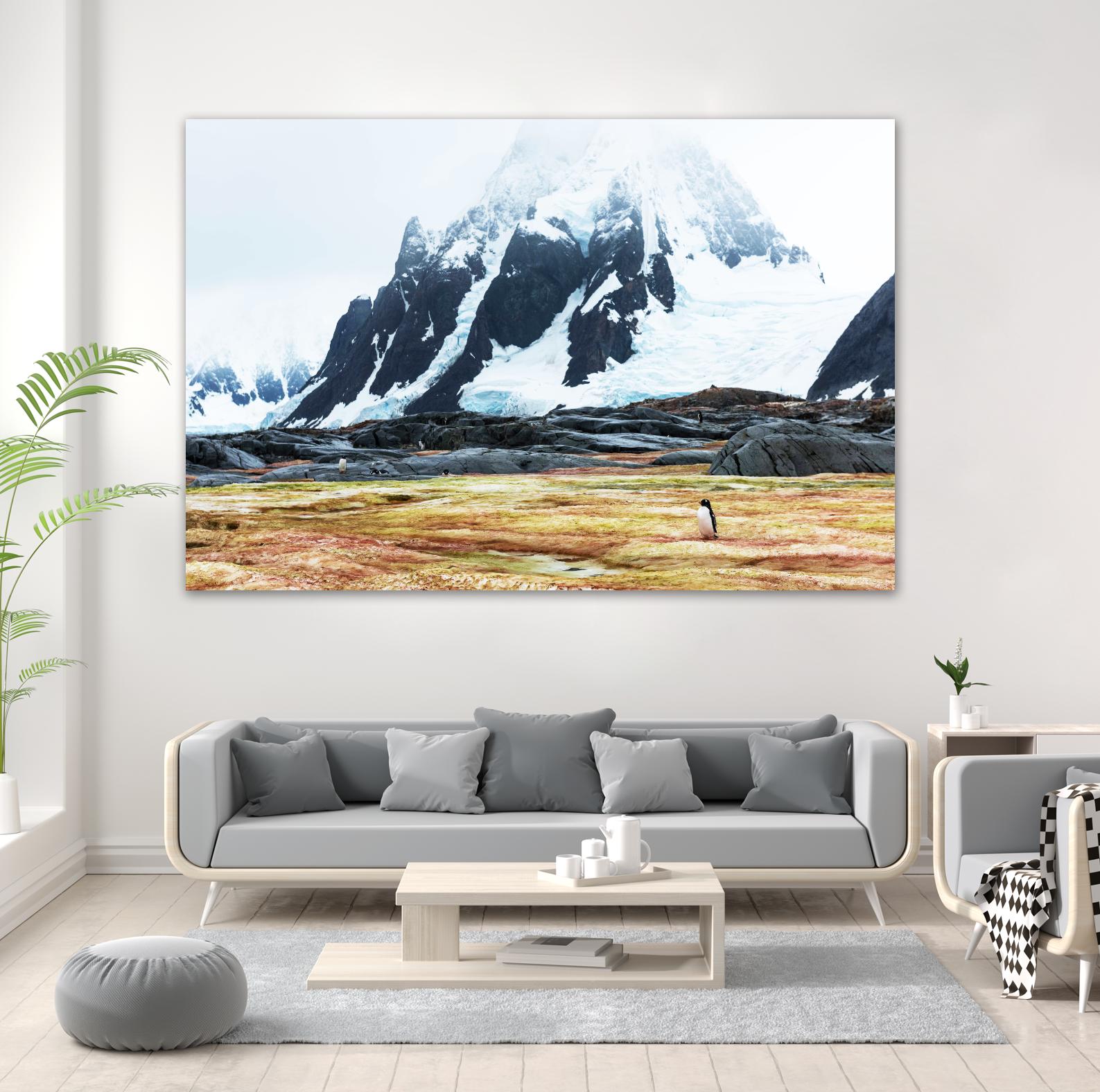 Crossing the green algae field, Antarctica by Nick Jackson on GIANT ART - white photo art