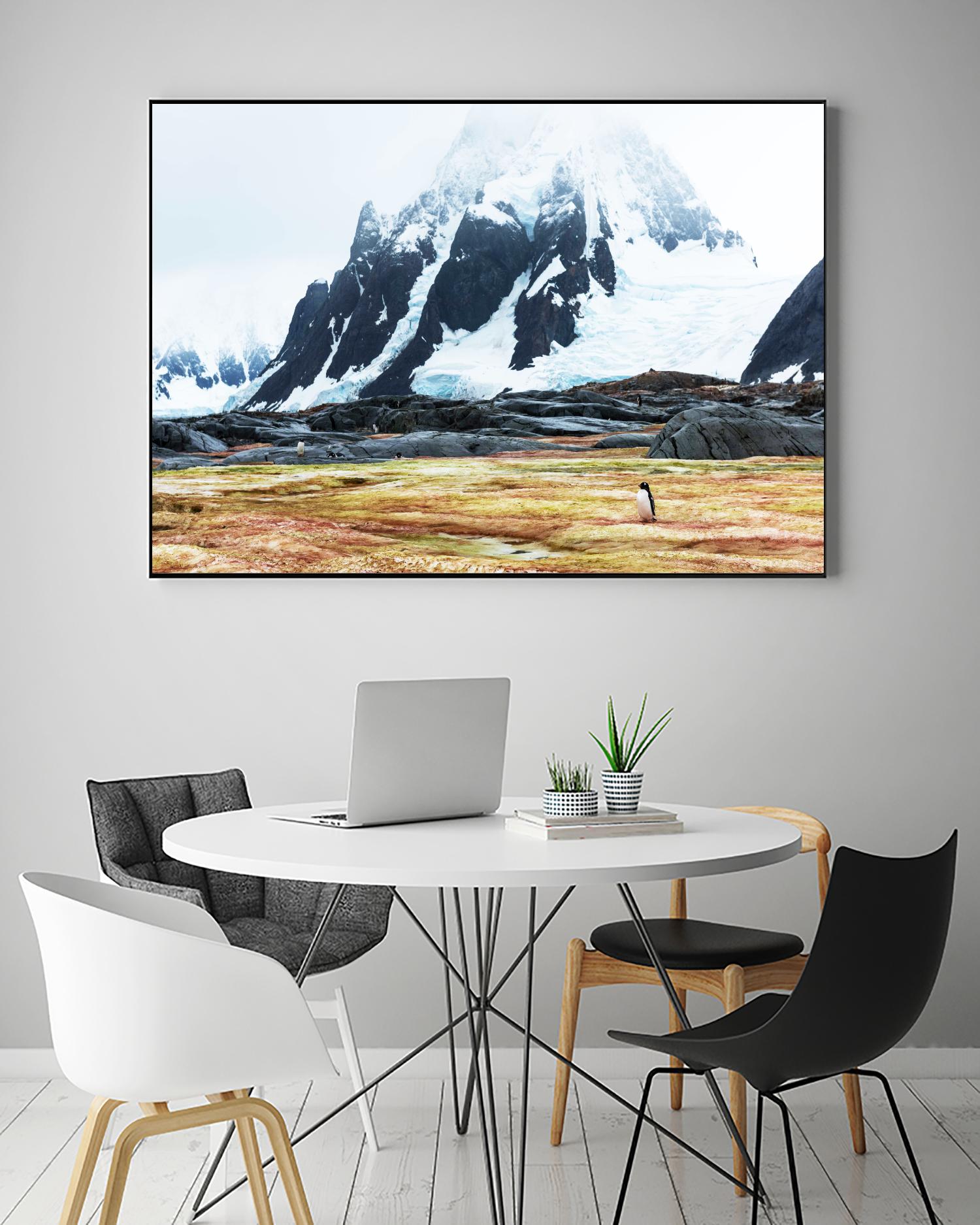 Crossing the green algae field, Antarctica by Nick Jackson on GIANT ART - white photo art