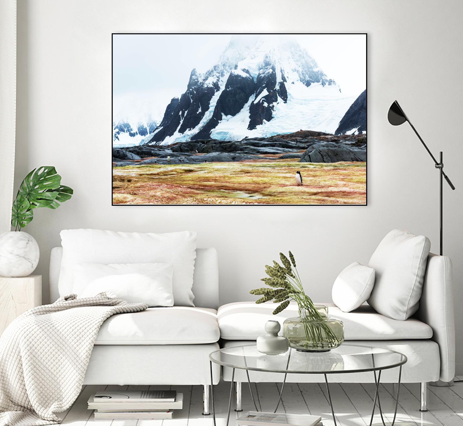 Crossing the green algae field, Antarctica by Nick Jackson on GIANT ART - white photo art