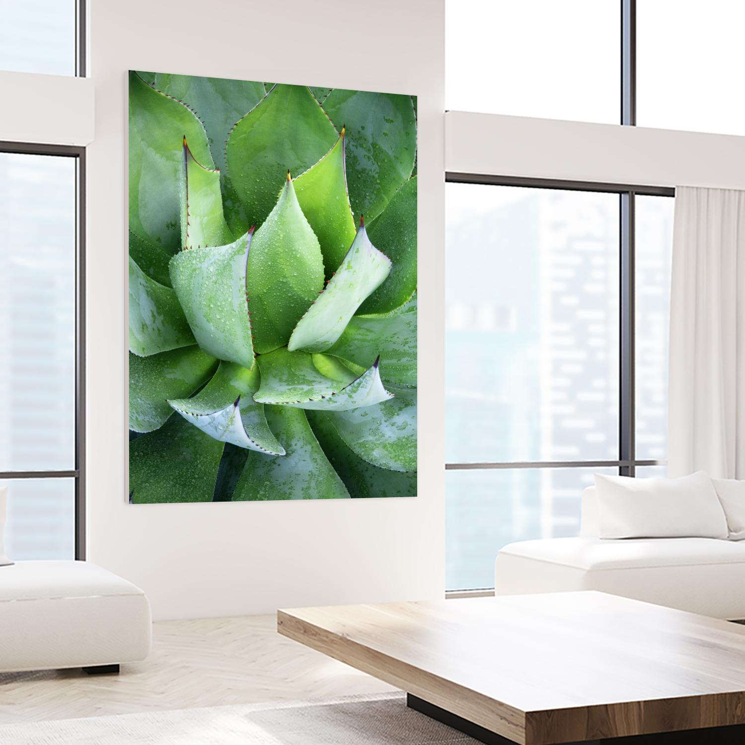 Yucca Study 1 by Acer Images on GIANT ART - green botany