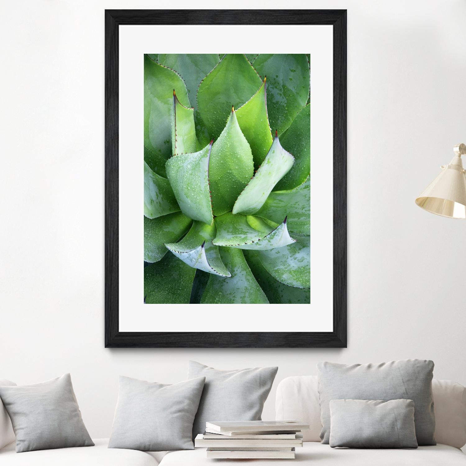 Yucca Study 1 by Acer Images on GIANT ART - green botany