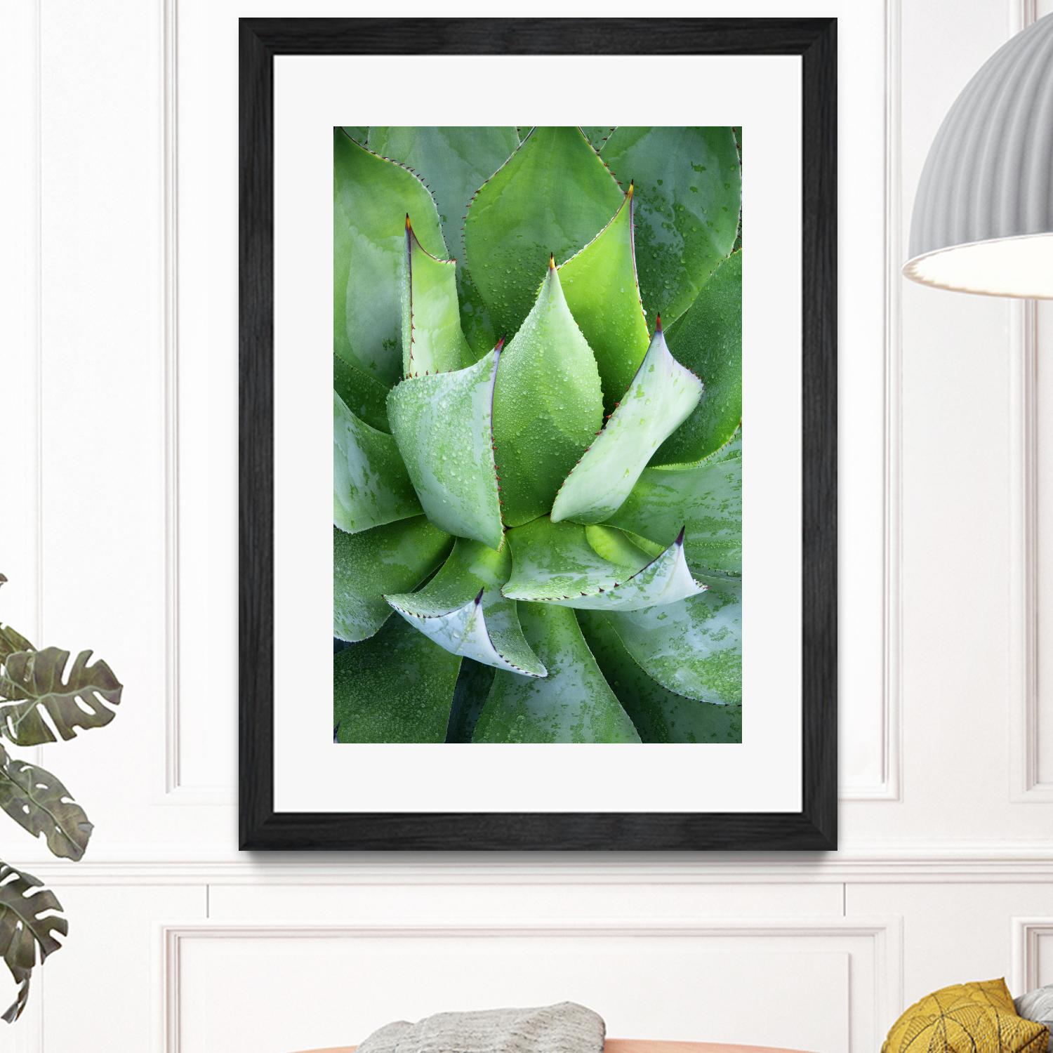 Yucca Study 1 by Acer Images on GIANT ART - green botany