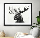 Watercolor Moose by Ben Gordon on GIANT ART - black animals