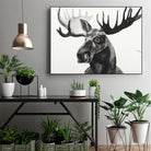 Watercolor Moose by Ben Gordon on GIANT ART - black animals