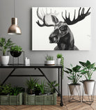 Watercolor Moose by Ben Gordon on GIANT ART - black animals