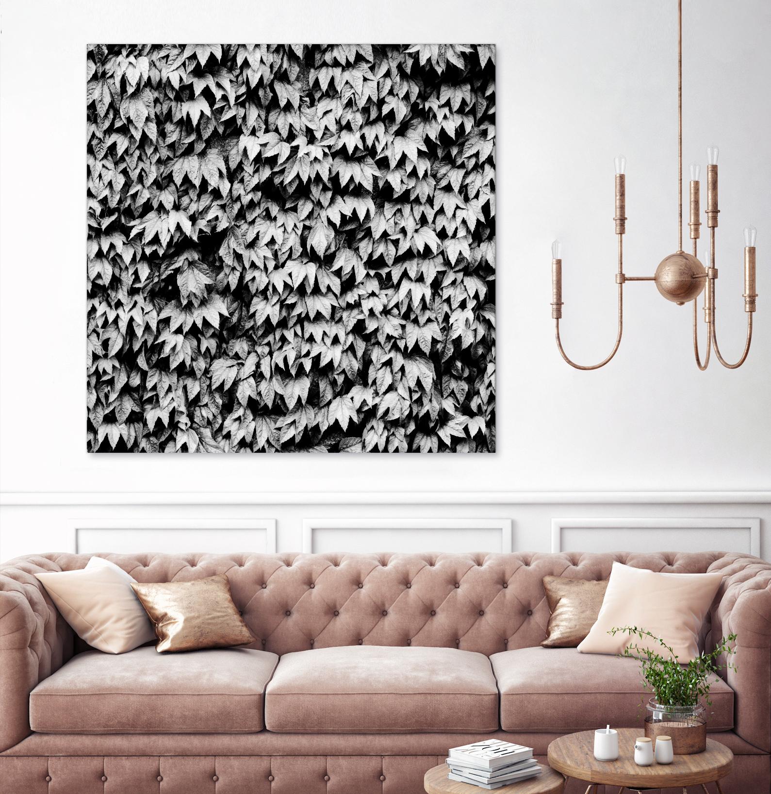 Wall of Leaves by Kyle Goldie on GIANT ART - white photo art