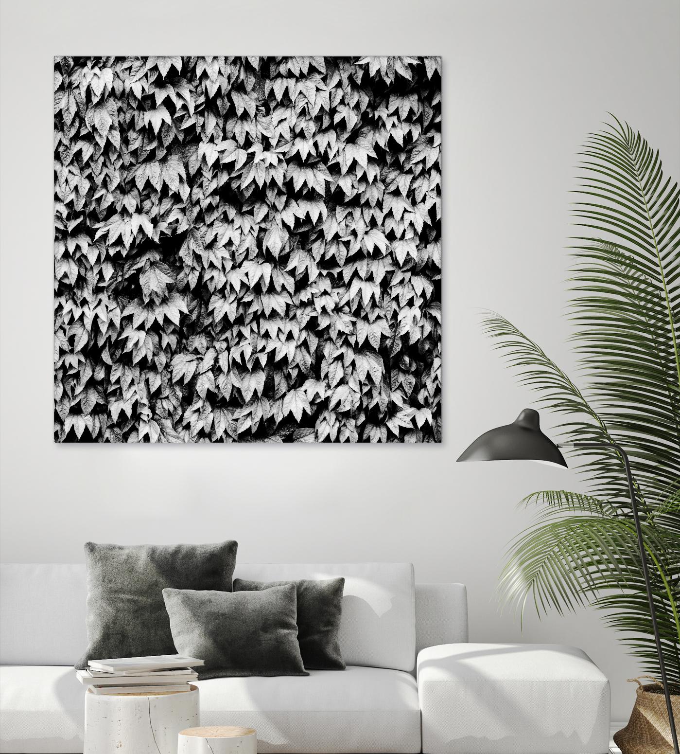 Wall of Leaves by Kyle Goldie on GIANT ART - white photo art