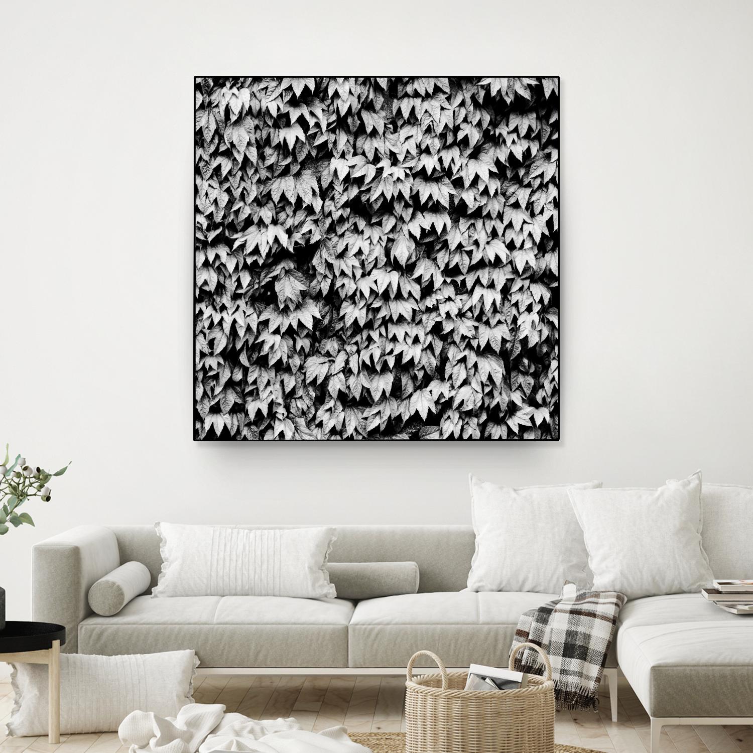 Wall of Leaves by Kyle Goldie on GIANT ART - white photo art
