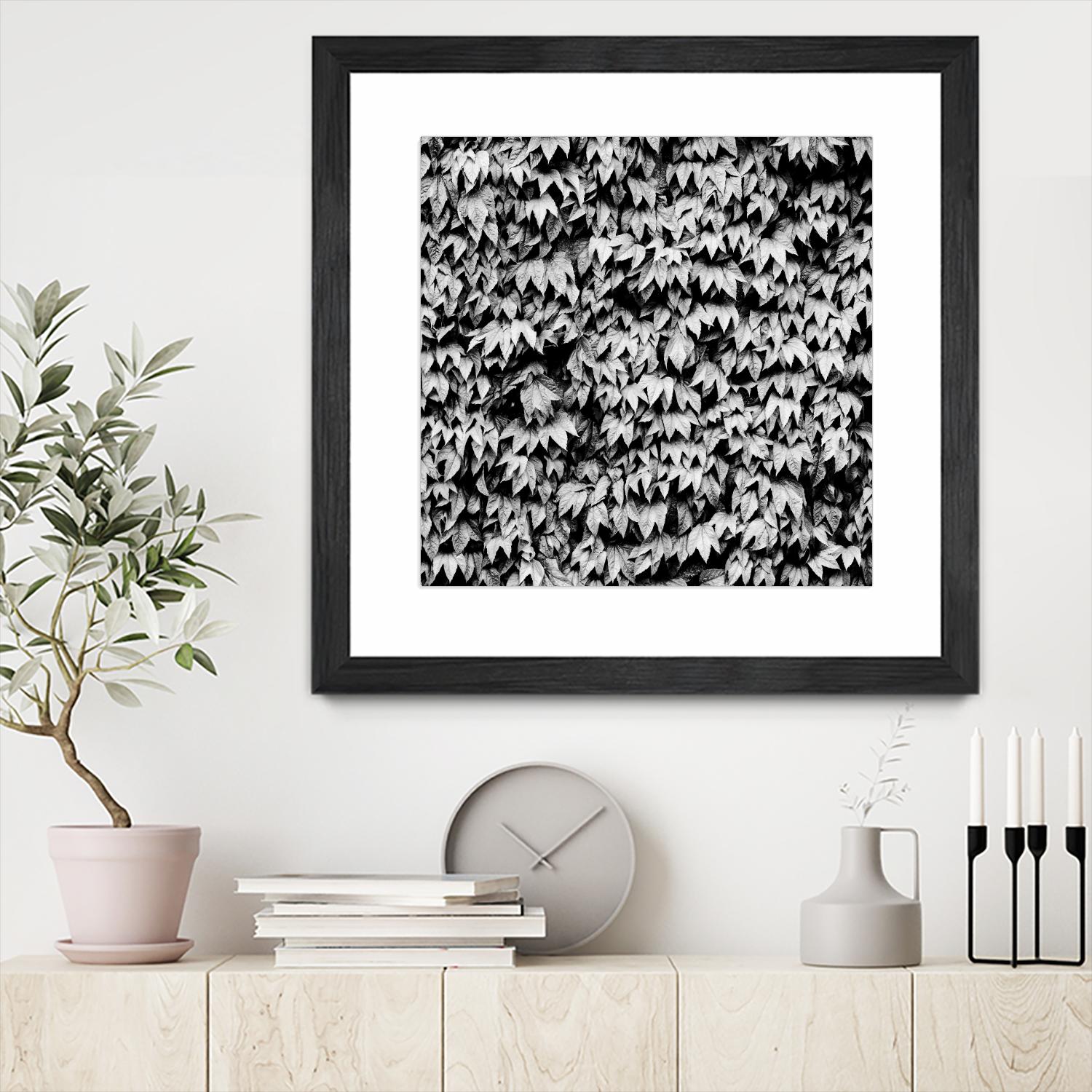 Wall of Leaves by Kyle Goldie on GIANT ART - white photo art