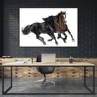 Black & Brown Horse by Stefano Altamura on GIANT ART - brown animals