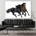 Black & Brown Horse by Stefano Altamura on GIANT ART - brown animals