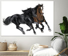 Black & Brown Horse by Stefano Altamura on GIANT ART - brown animals