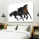 Black & Brown Horse by Stefano Altamura on GIANT ART - brown animals