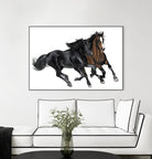 Black & Brown Horse by Stefano Altamura on GIANT ART - brown animals