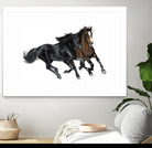 Black & Brown Horse by Stefano Altamura on GIANT ART - white black & white horse