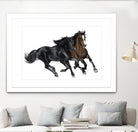 Black & Brown Horse by Stefano Altamura on GIANT ART - white black & white horse
