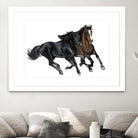 Black & Brown Horse by Stefano Altamura on GIANT ART - white black & white horse