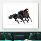 Black & Brown Horse by Stefano Altamura on GIANT ART - white black & white horse