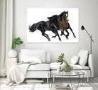 Black & Brown Horse by Stefano Altamura on GIANT ART - white black & white horse