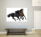 Black & Brown Horse by Stefano Altamura on GIANT ART - white black & white horse