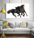 Black & Brown Horse by Stefano Altamura on GIANT ART - white black & white horse