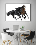 Black & Brown Horse by Stefano Altamura on GIANT ART - brown animals