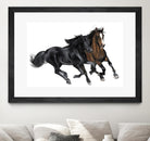 Black & Brown Horse by Stefano Altamura on GIANT ART - white black & white horse
