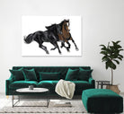Black & Brown Horse by Stefano Altamura on GIANT ART - white black & white horse