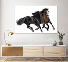 Black & Brown Horse by Stefano Altamura on GIANT ART - white black & white horse