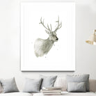 Buck Bust by Brenna Harvey on GIANT ART - white vintage deer