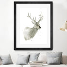 Buck Bust by Brenna Harvey on GIANT ART - white vintage deer