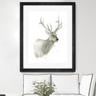 Buck Bust by Brenna Harvey on GIANT ART - white vintage deer
