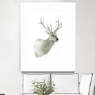 Buck Bust by Brenna Harvey on GIANT ART - white vintage deer