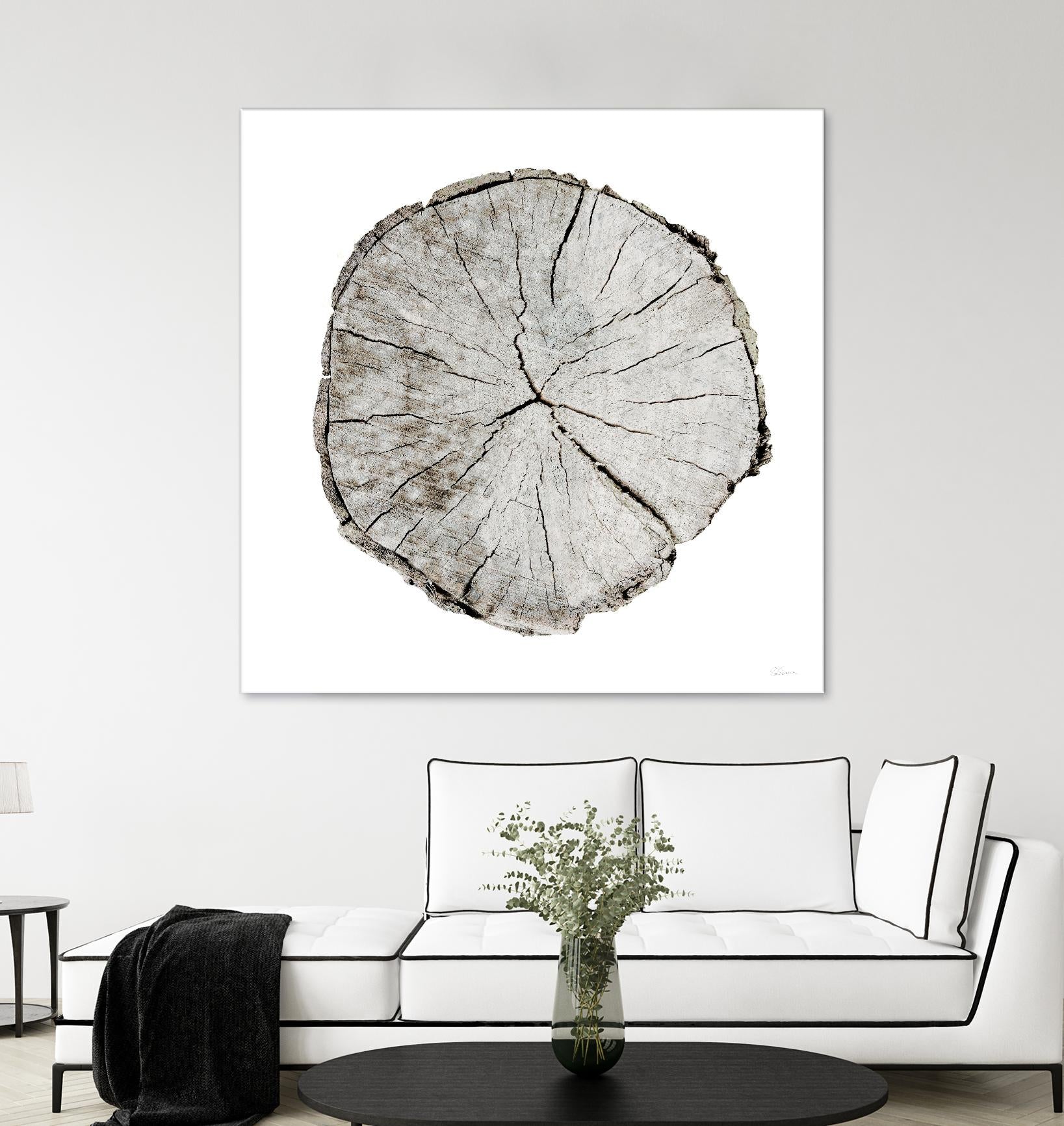 Woodland Years I on White by Sue Schlabach on GIANT ART - grey trees