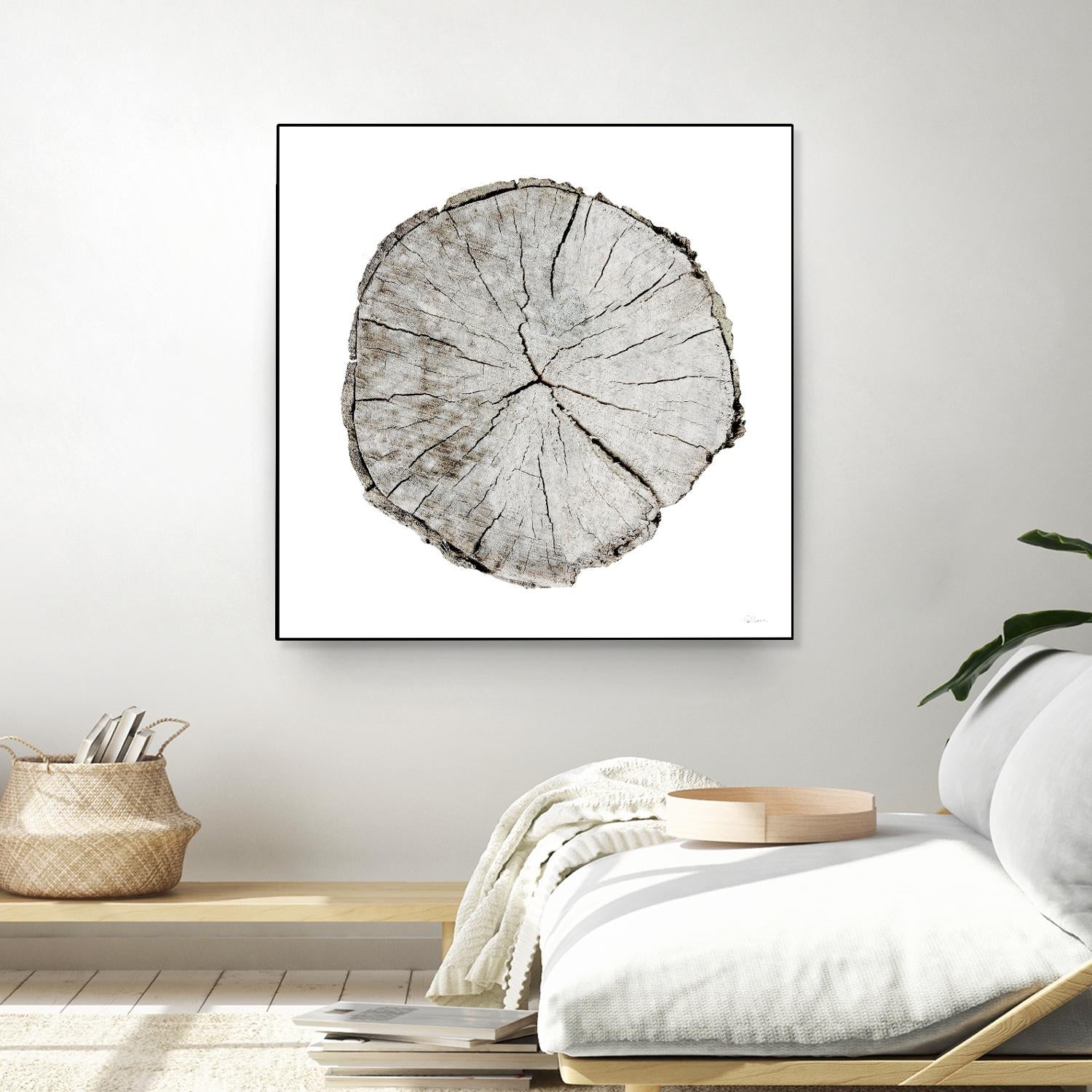 Woodland Years I on White by Sue Schlabach on GIANT ART - grey trees